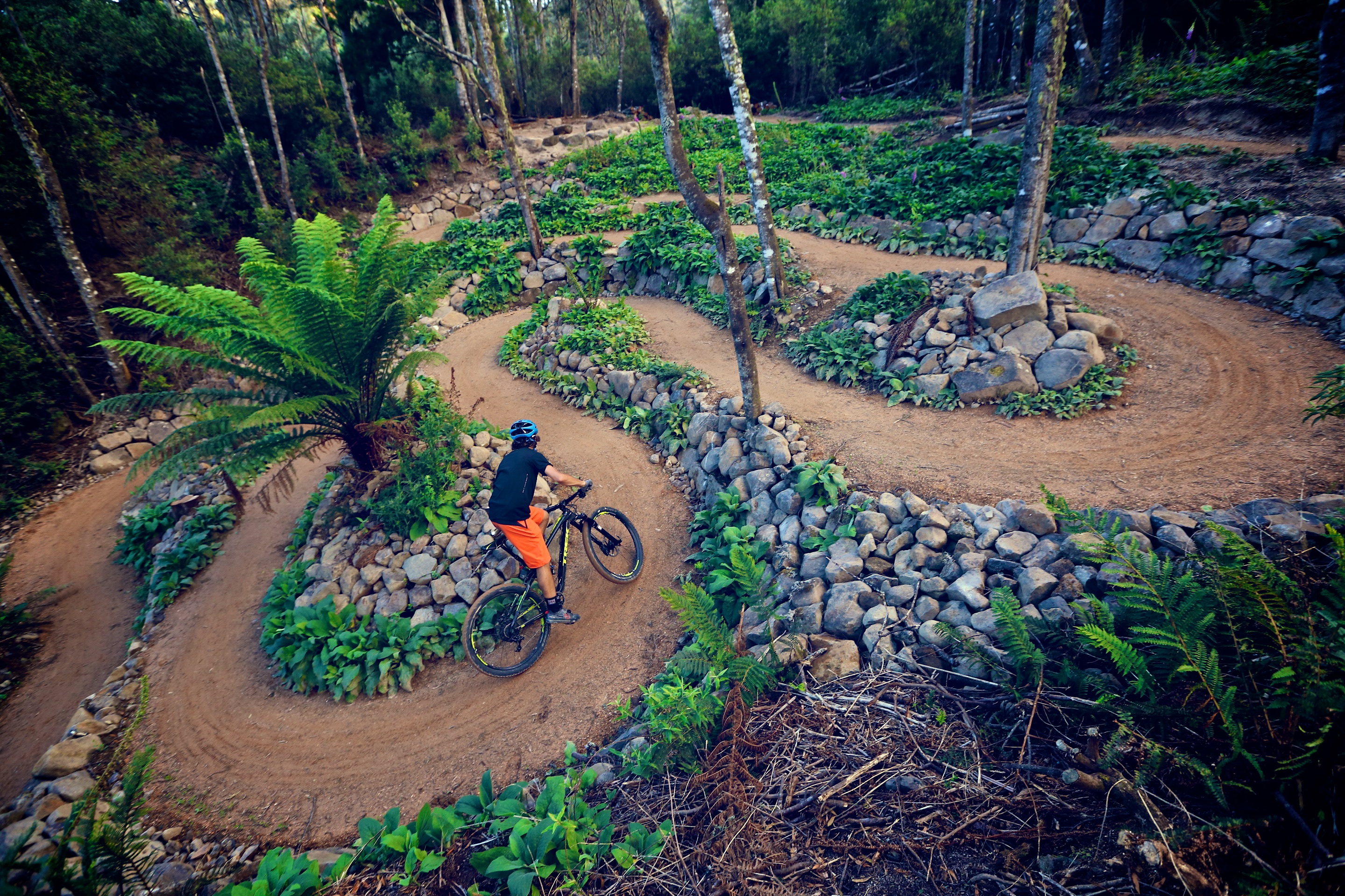 Tasmanian Mountain Bike Adventures