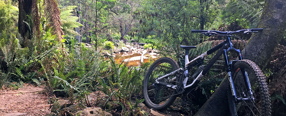 Mountain bike ride in Derby Tasmania