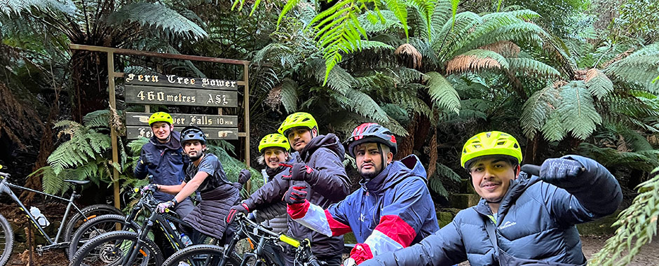 Hobart MTB Tours, Ride Mt Wellington Descent and Rainforest Adventure Ride