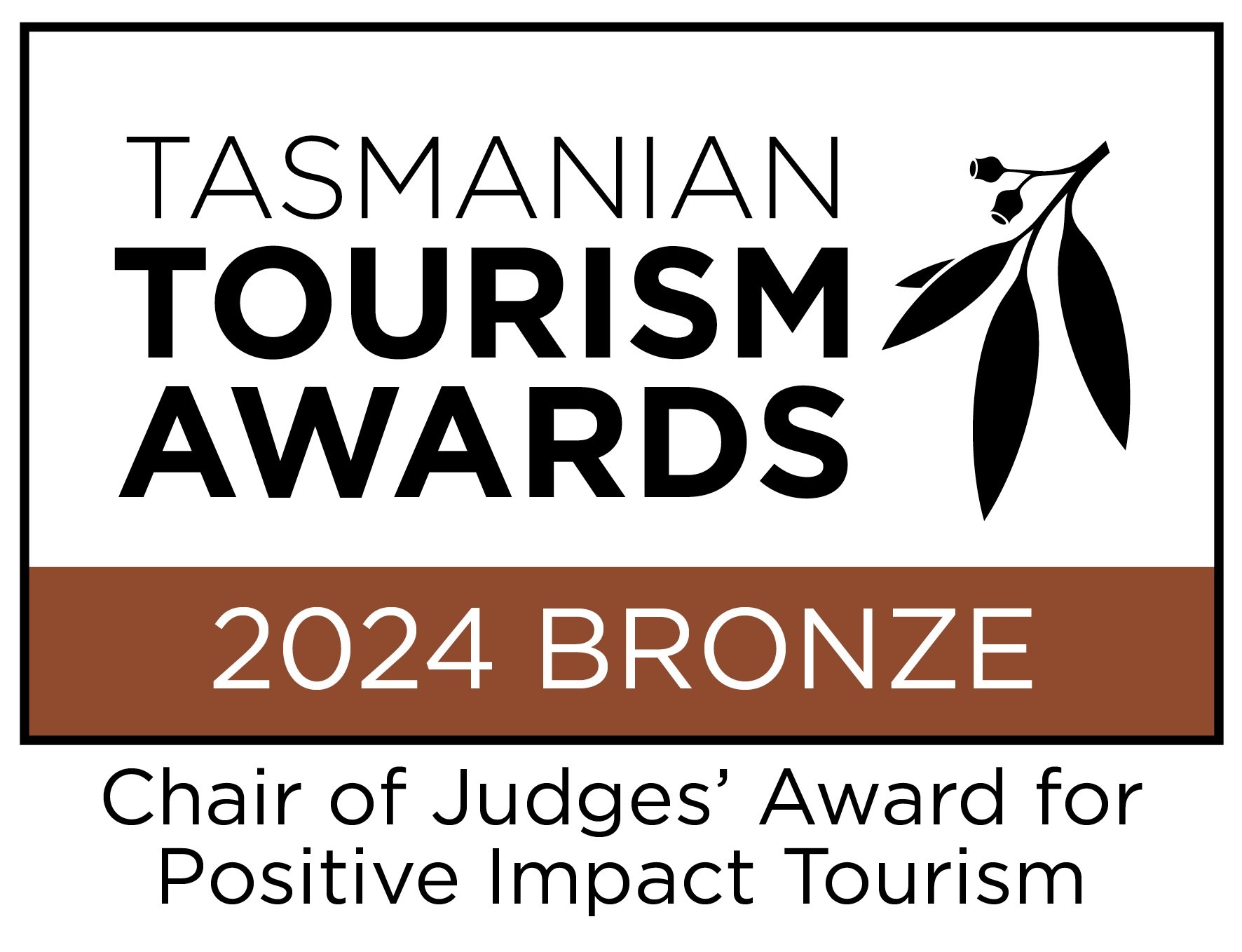 2024 positive impact2