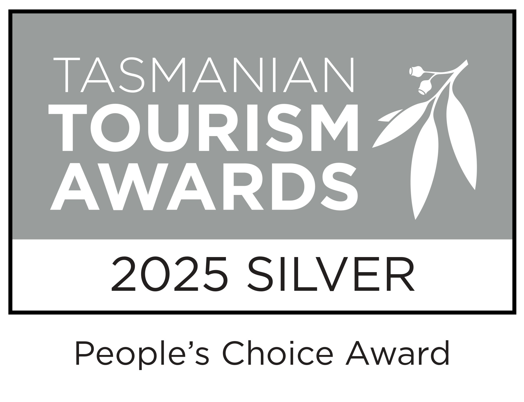 2025 peoples choice silver 2