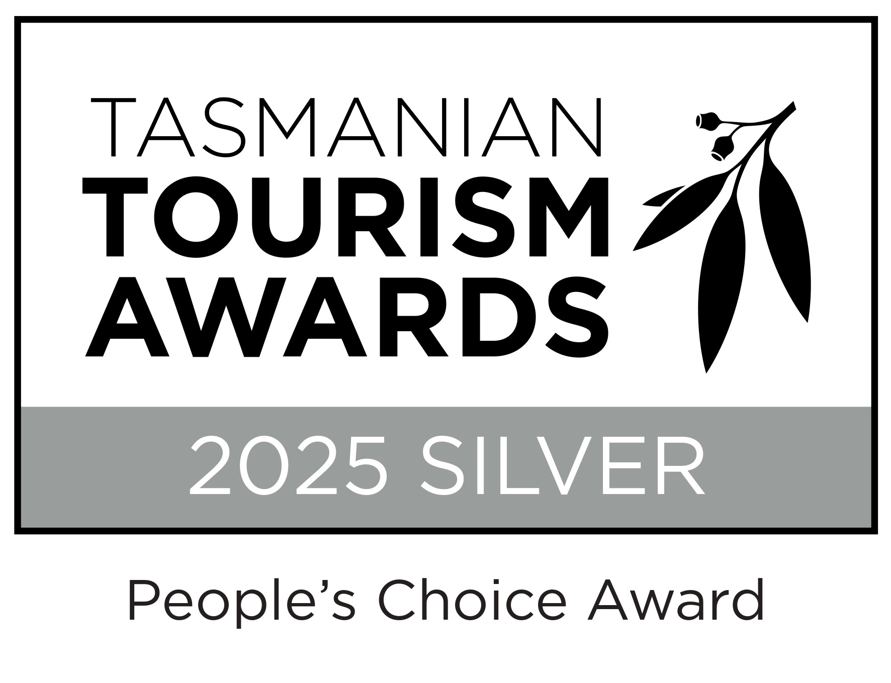 2025 peoples choice silver