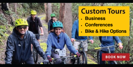 Custom tours for business & conference