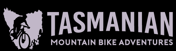 tasmba logo homepage2026 large