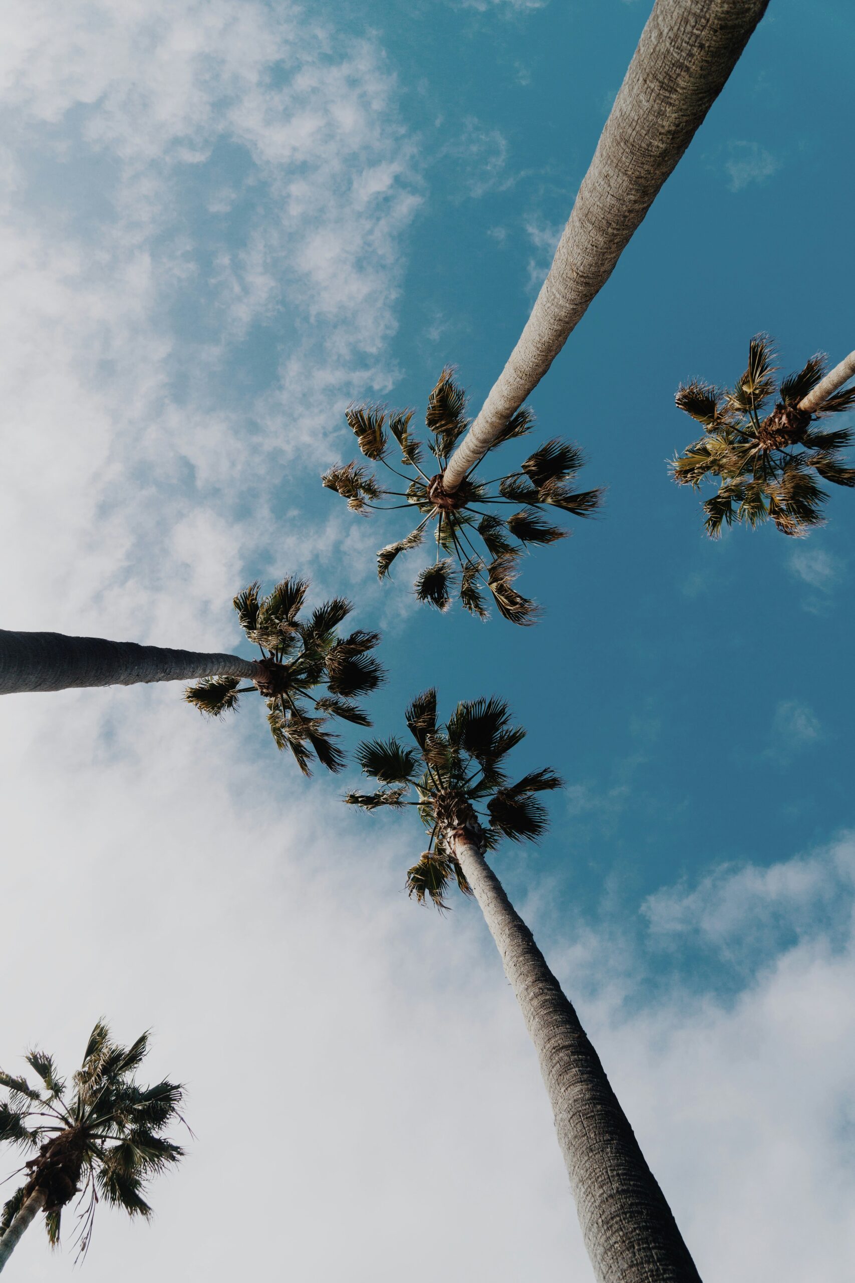 wil stewart K TbABnVzHo unsplash scaled 2